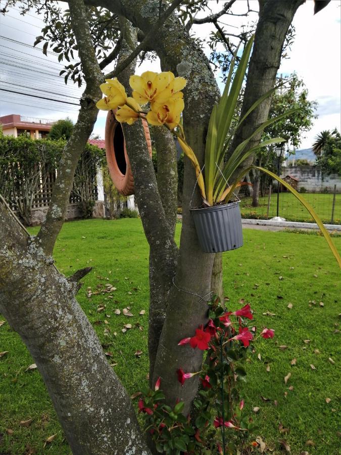 Chester'S B&B Табабела Экстерьер фото